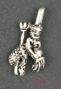 ZAWIESZKA ZODIAK-WODNIK 21X10MM KOLOR STARE SREBRO